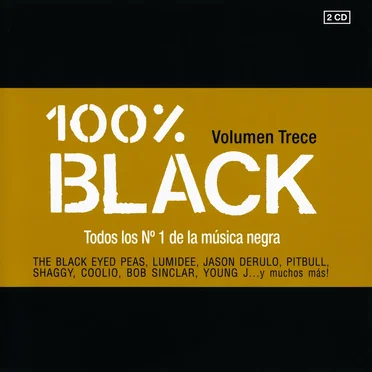 100% Black, Volumen Trece by Various Artists - album cover