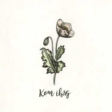 Kom ihåg by Honungsvägen - album cover