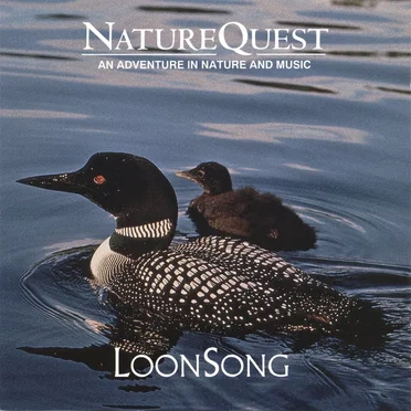 Loon Song