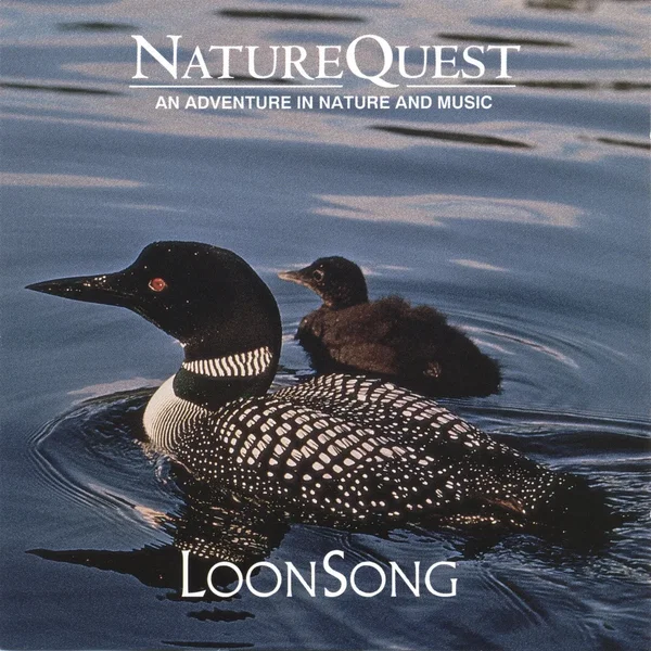 Loon Song