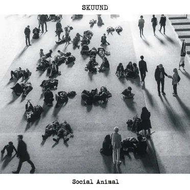 Social Animal