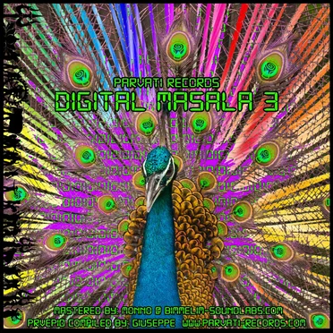 Digital Masala III by Various Artists - album cover