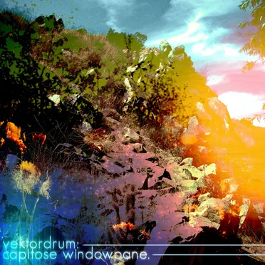 Capitose Windowpane by Vektordrum - album cover