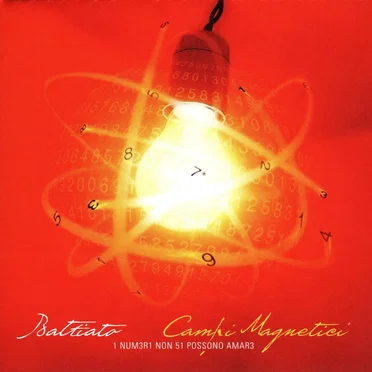 Campi magnetici: i numeri non si possono amare