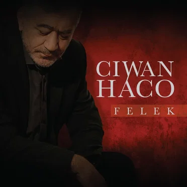 Felek by Ciwan Haco - album cover