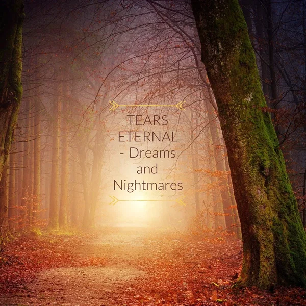 Dreams and Nightmares