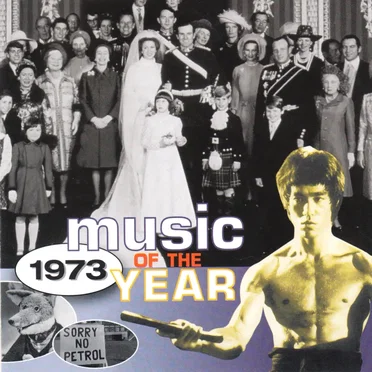 Music of the Year: 1973 by Various Artists - album cover