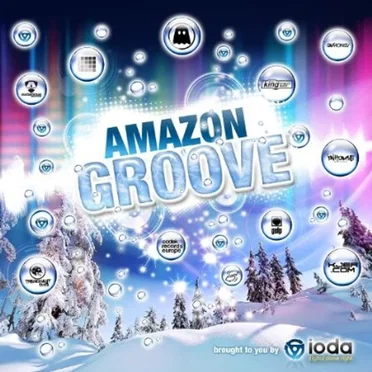 The Amazon Groove by Various Artists - album cover