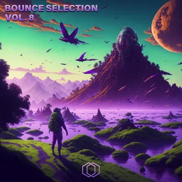 Bounce Selection, Vol. 8 by Various Artists - album cover