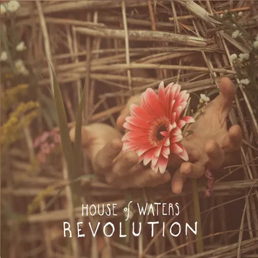 Revolution by House of Waters - album cover