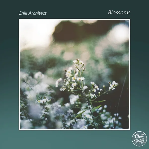 Blossoms