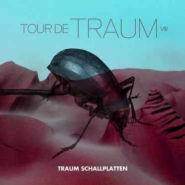 Tour de Traum VIII by Various Artists - album cover
