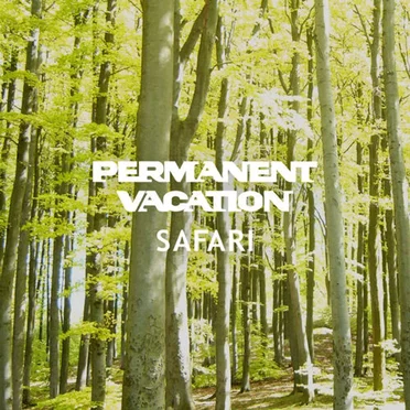 Permanent Vacation Safari by Various Artists - album cover