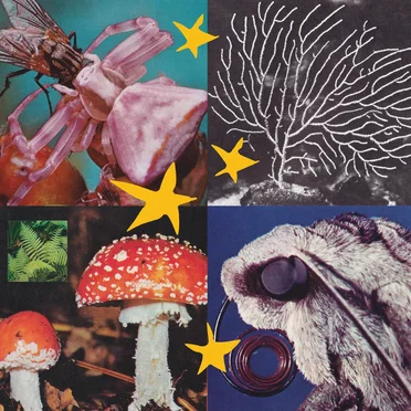 All Things Considered Vol. 2 by Various Artists - album cover