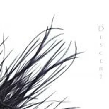 Descent by Endless Sunder - album cover