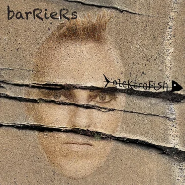 barRieRs