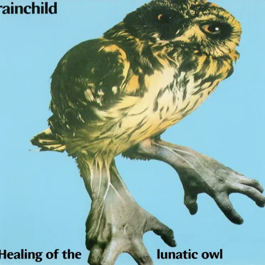 Healing of the Lunatic Owl
