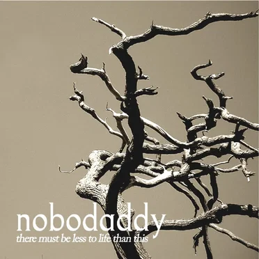 There Must Be Less to Life Than This by Nobodaddy - album cover