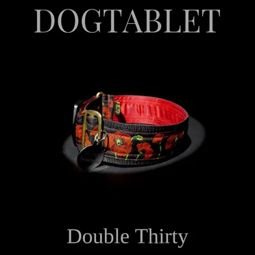 Double Thirty