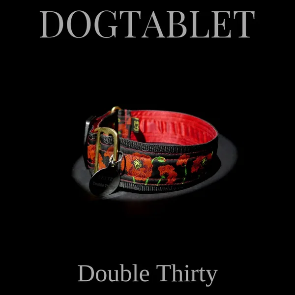 Double Thirty