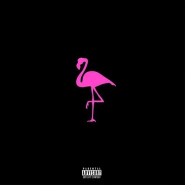 Flamingo by Candy Ken - album cover