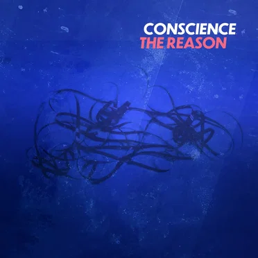 The Reason