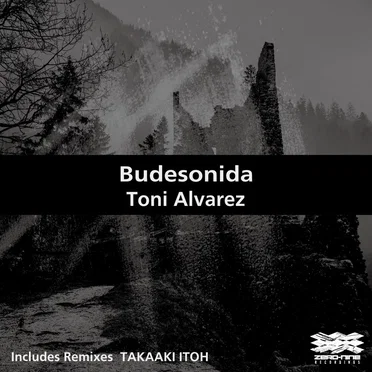 Budesonida by Toni Alvarez - album cover