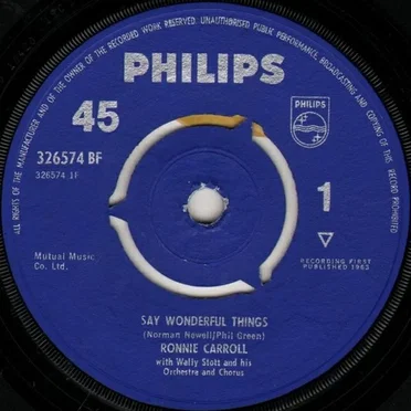 Say Wonderful Things