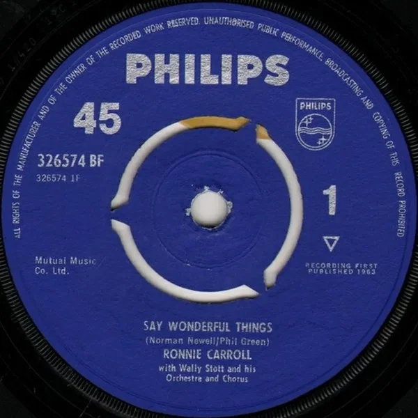 Say Wonderful Things