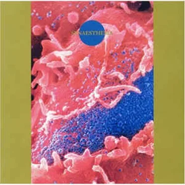 Synaesthesia by Death Ambient - album cover