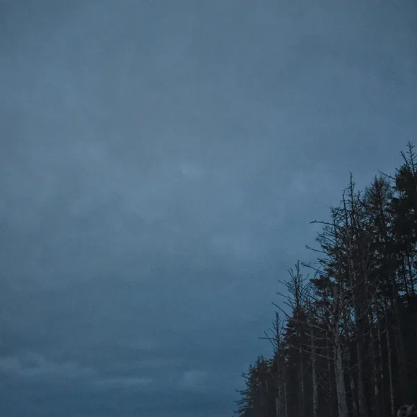 This Place, Now · I Need the Night