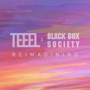 REIMAGINING by Teeel - album cover