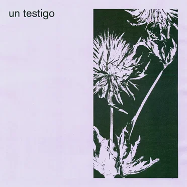 Un testigo by Mausoleo - album cover