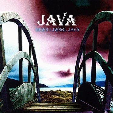 Mewn i Jwngwl Java by Java - album cover