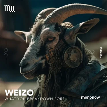 Ｗhat You Breakdown For? by Weizo - album cover