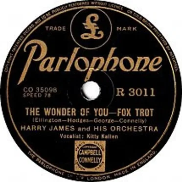 The Wonder of You / As If I Didn't Have Enough on My Mind
