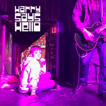 Harry Says Hello - EP