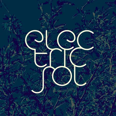 Electric Sol by Electric Sol - album cover