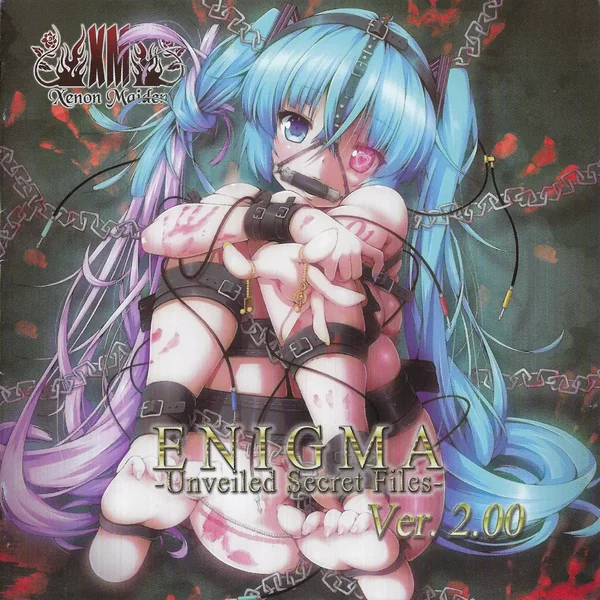 ENIGMA -Unveiled Secret Files- Ver. 2.00