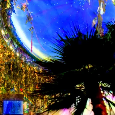 Rainforest Plaza