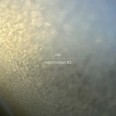 indistinction #2