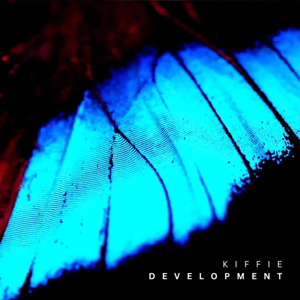 Development