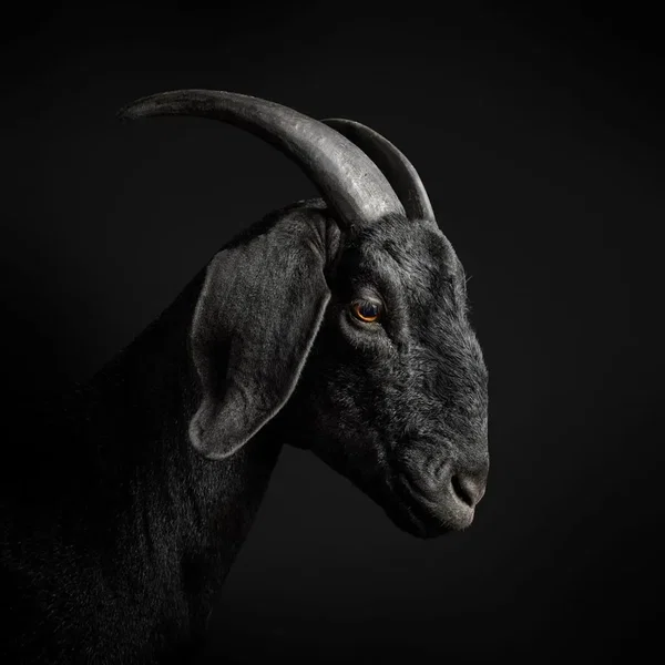 Sacrifice EP