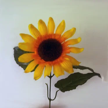 Sunflowers by The Council Flats of Kingsbury - album cover