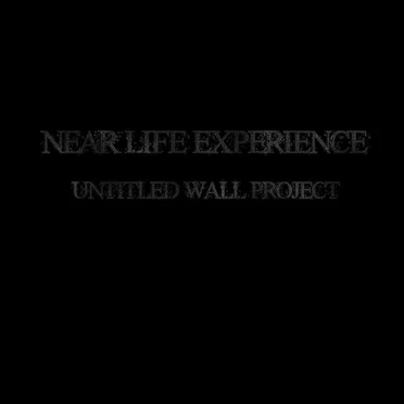 Near Life Experience