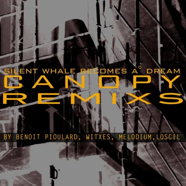Canopy Remixs by Silent Whale Becomes A° Dream - album cover