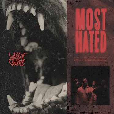 Most Hated by Words of Concrete - album cover