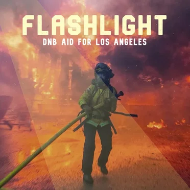 FLASHLIGHT: DNB AID FOR LOS ANGELES by Various Artists - album cover