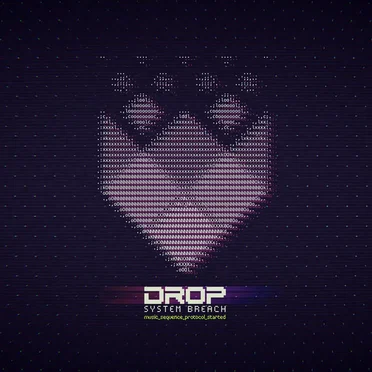 DROP - System Breach