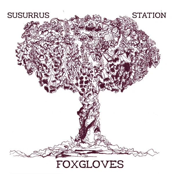 Foxgloves